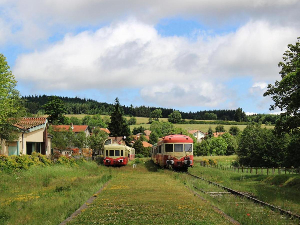 Gite Avec Cheminee, Terrasse Et Wifi - Animaux Acceptes - Fr-1-496-163 Usson-en-Forez エクステリア 写真